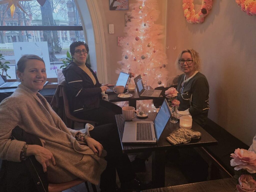 Team Team University of Gävle (UoG) and Region Uppsala (RU) WP 2